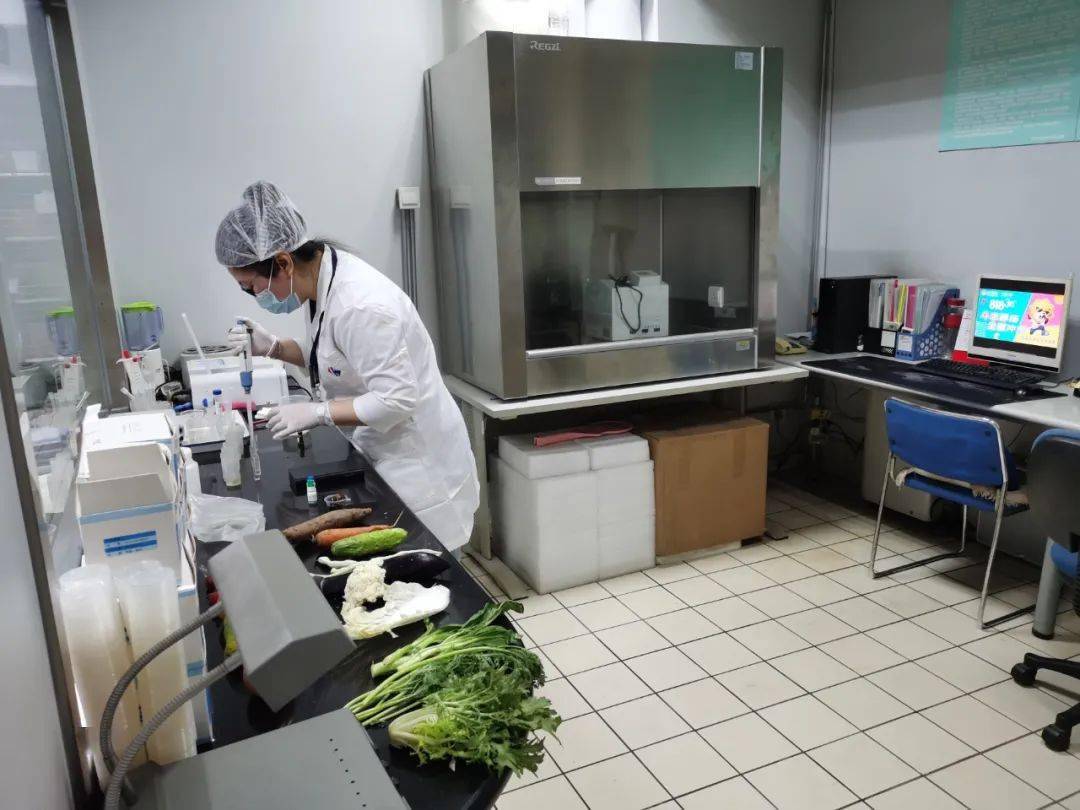邓州食品检测实验室装修方案